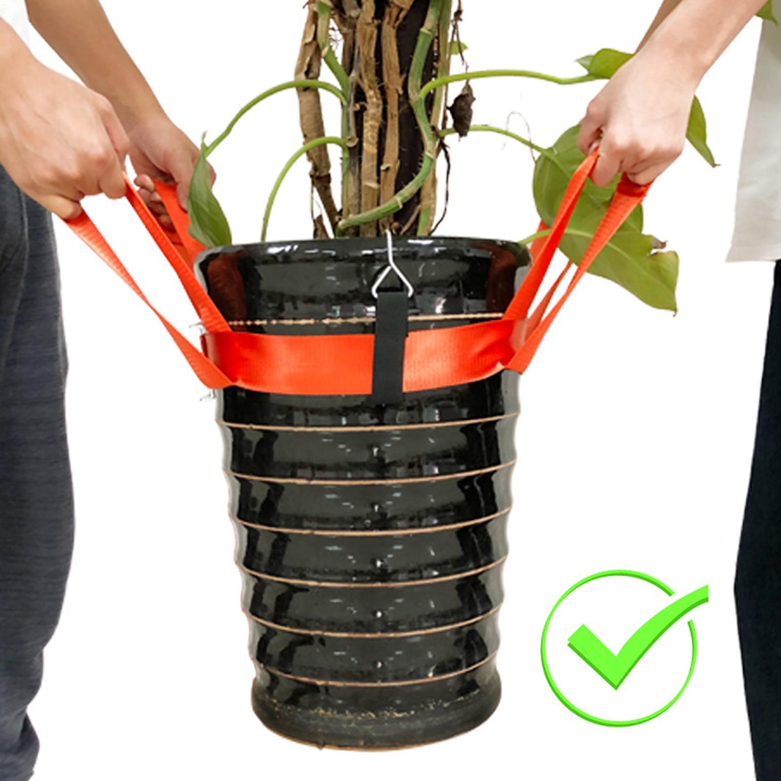 Pasek do przenoszenia roślin d – Lifting Belt recenzja i cena